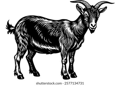 a hyper realistic goat isolated on white background