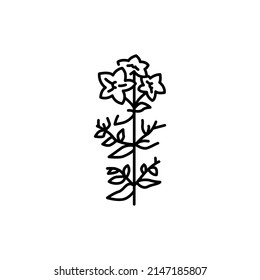 Icono de línea de color de hipericum. Pictograma para página web, aplicación móvil, promoción.