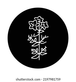 Hypericum color line icon. Pictogram for web page, mobile app, promo.