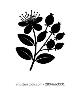 Hypericum icon flat outline in black