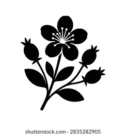 Hypericum icon flat outline in black