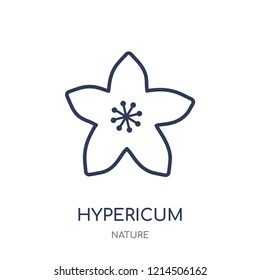 Hypericum icon. Hypericum linear symbol design from Nature collection. Simple outline element vector illustration on white background.