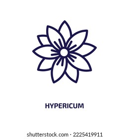 hypericum icon from nature collection. Thin linear hypericum, natural, herbal outline icon isolated on white background. Line vector hypericum sign, symbol for web and mobile
