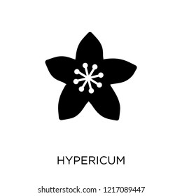 Hypericum icon. Hypericum symbol design from Nature collection. Simple element vector illustration on white background.