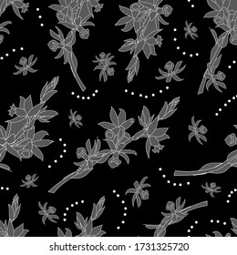 Hypericum plant. Lace seamless pattern. Medicinal plants. Vector drawing flower field.