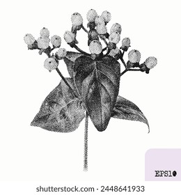 Hypericum plant. Spring bouquet. Pointillism, graphic black ink drawing