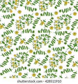 Hypericum, St. John's wort or Hartheu branch vector sketch hand drawn healing herb isolated on white, Tutsan herbs, Seamless vector pattern, Collection herb for card, package cosmetic, medicine, tea