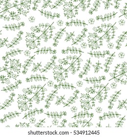 Hypericum, St. John's wort or Hartheu branch vector sketch hand drawn healing herb isolated on white, Tutsan herbs, Seamless floral vector pattern, Collection herb for package cosmetic, medicine, tea