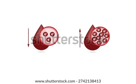Hyperkalaemia, high plasma potassium level and Hypokalaemia, low plasma potassium level. Potassium K excess and deficit electrolyte disorders, blood test tube, Scientific design. Vector illustration