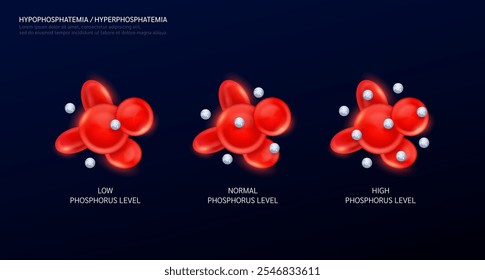 Hyperphosphatemia is an electrolyte disorder. Phosphorus in red blood cells on black background. Balance level of minerals and vitamins in the body. Medical science concept. Vector EPS10.