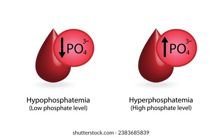 Hyperphosphatemia, high plasma phosphate level and Hypophosphatemia, low plasma phosphate level. phosphate excess and deficit electrolyte disorders, blood droplet, Scientific Vector illustration.