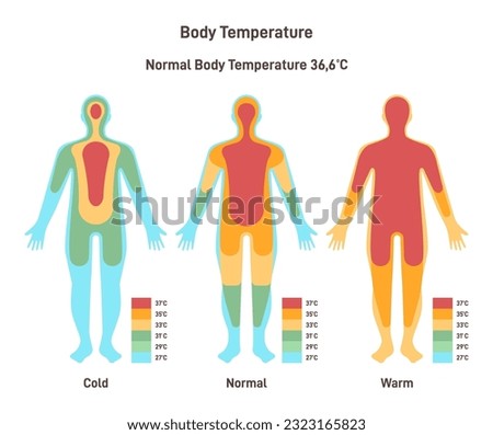 Hyperthermia, hypothermia and normal temperature diagram. Body heat map. Human silhouette with warmth spectrum. Flat vector illustration
