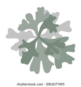 Hypogymnia gray lichen bush logo icon on white background