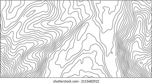 Hypsometric map. top view of mountainous terrain