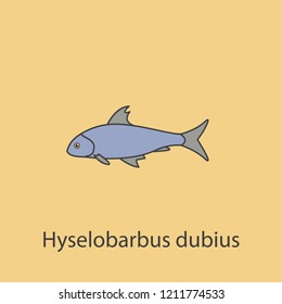 hyselobarbus dubius 2 colored line icon. Simple purple and gray element illustration. hyselobarbus dubius concept outline symbol design from fish set