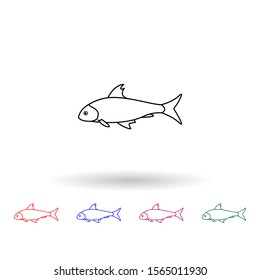 Hyselobarbus dubius multi color icon. Simple thin line, outline vector of fish icons for ui and ux, website or mobile application