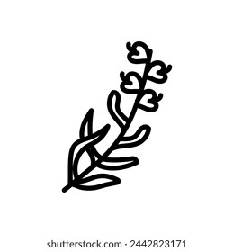 Hyssop icon in vector. Logotype
