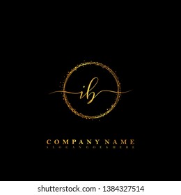 IB Initial luxury handwriting logo vector