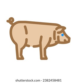 iberico pig breed color icon vector. iberico pig breed sign. isolated symbol illustration