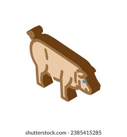 iberico pig breed isometric icon vector. iberico pig breed sign. isolated symbol illustration