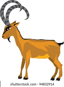 Ibex