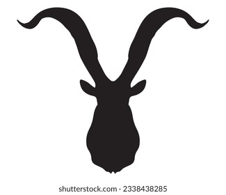 Ibex horns are typically very long and curved, with a distinctive spiral shape. They are often used as symbols of strength and power.