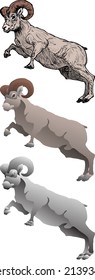 Ibex mountain goat with big horn isolated against white. Hand drawn vector illustration.