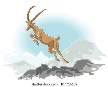 Ibex In The Mountains
