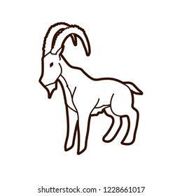 Ibex standing graphic vector