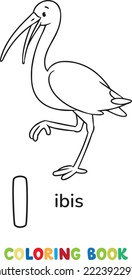 Ibis. Animals ABC coloring book for kids