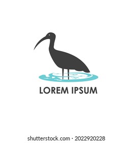 Ibis bird Animal logo design