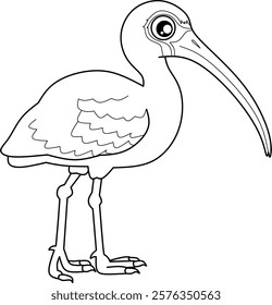 Ibis bird cartoon line art for coloring book pages