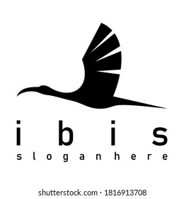 Ibis Bird Design Logo Icon Vector