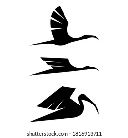 Ibis Bird Design Logo Icon Vector