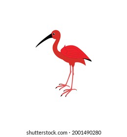 ibis bird lab icon on a white background