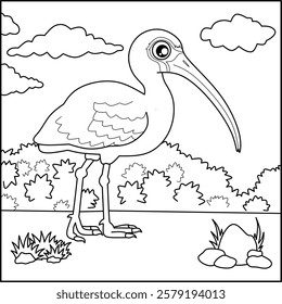 Ibis bird line art for coloring book with simple background