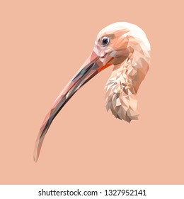 Ibis bird low poly design. Triangle vector illustration.