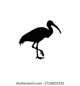 ibis pássaro silhueta ícone vetor plano design.