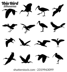 Ibis bird silhouettes vector illustration set.