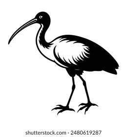  Ibis Bird Walking Silhouette Art