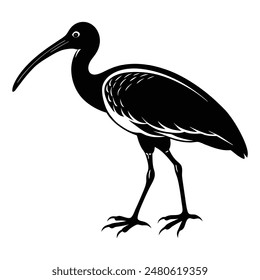  Ibis Bird Walking Silhouette Art