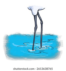 Ibis claw isolated on a white background