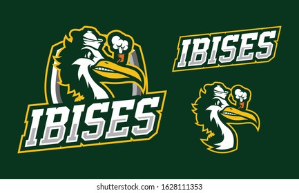 Ibis mascot logo design for sport or e-sport team logo isolated on dark green background