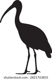  Ibis Silhouette - Wading Bird Black Icon