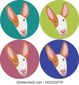 Ibizan Hound muzzle. Podenco ibicenco breed. Stylish dog icon set. Smart and funny dog`s head icon. Big ears. Flat vector illustration