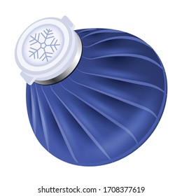 Ice bag vector icon.Realistic vector icon isolated on white background ice bag.