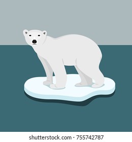 ice bear on floe climate change catastrophe melting ice vector flat design