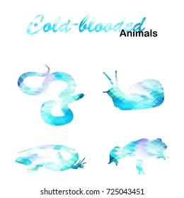 Ice collection of geometric polygon animals. Snake, lizard, frog, snail. Vector illustration.