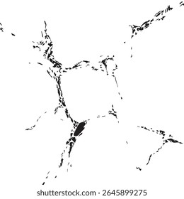 Ice Crack Texture on White Background for Winter Themes, Frozen Effects, or Cool Aesthetic