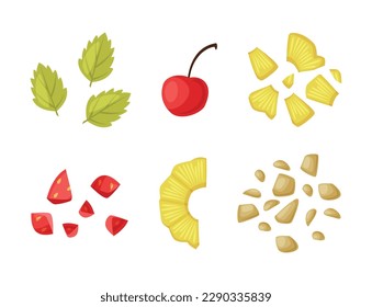 Ice Cream Parts with Mint Leaf, Cherry, Pineapple, Nuts and Strawberry Vector Set